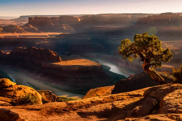 Photo of Dead Horse Point over Colorado River and Canyonlands at sunset – Utah, USA