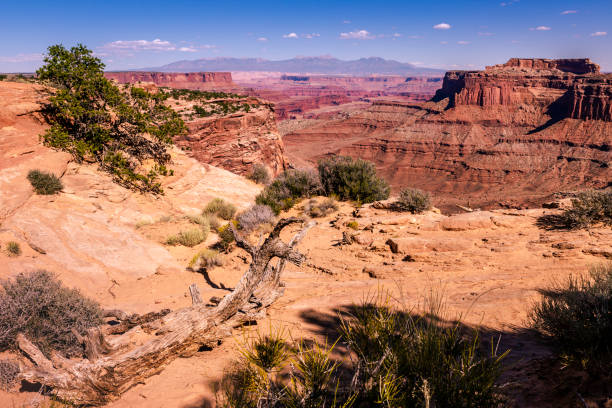 istock Above Canyonlands valley, dramatic landscape at sunset – Utah, USA 1203255553