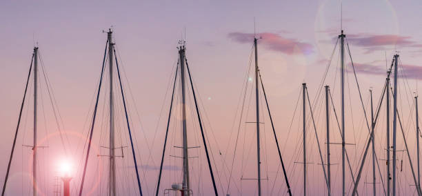 sailboats mast in the port