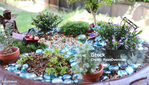 Fairy Garden In A Large Bird Bath With Blue Rocks And Miniature Plants Stock Photo - Download Image Now