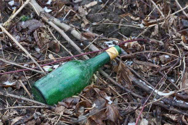 istock garbage from one big green glass bottle 1203260692