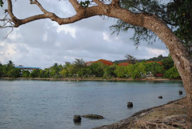 istock Coastal view with flame tree flowers in a tropical island. 1203261014