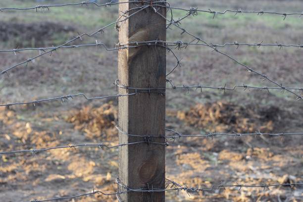 istock brown wooden pillar and gray iron barbed wire 1203261826