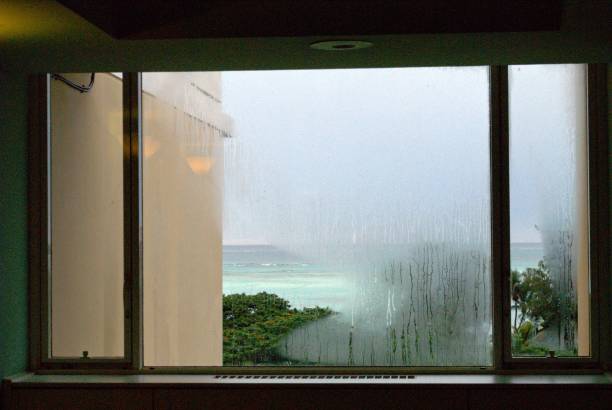 istock Rainy day seen through wide glass windows 1203262197