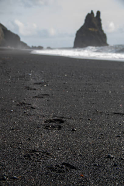 istock Rocks in the sea on a black sand beach 1203265315