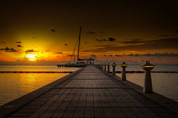 point de rhum au coucher du soleil, grand cayman - grand view point photos et images de collection