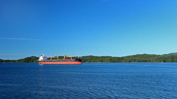 istock Ocean freighter on blue water with an island for background 1203268379