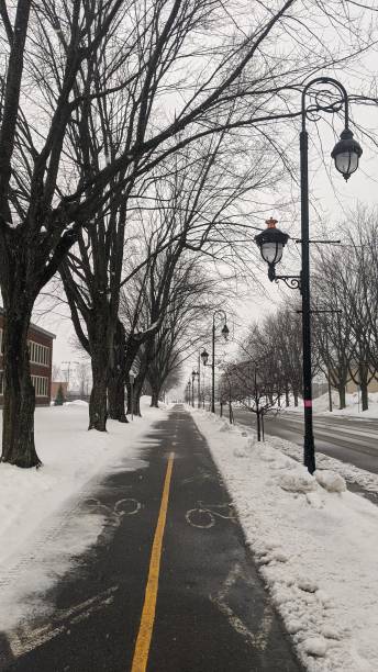 istock Snow on the bike path (photo1) 1203268408