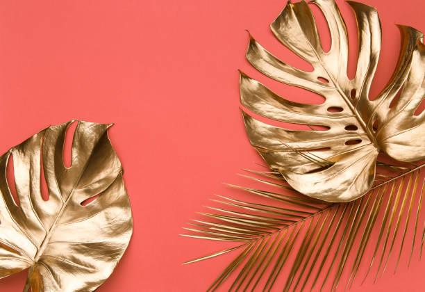 istock Golden tropical leaves on pink background 1203268489