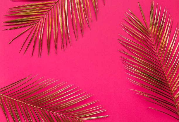 istock Gold date palm leaves on pink backdrop 1203268490