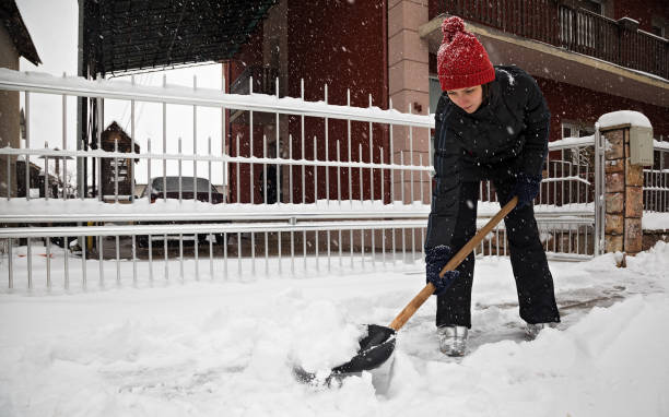 istock Young woman removing snow 1203271328