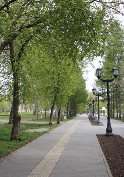 istock alley in the Park with lamp posts for walking under trees along paths for summer recreation in the city 1203276234