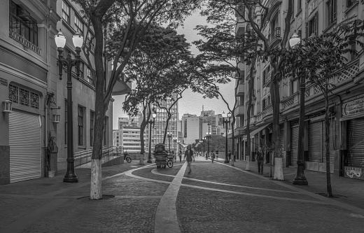 An avenue in the center of the Porto Alegre