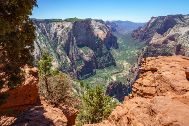 hiking the observation point trail in zion national park, usa hiking the observation point trail in zion national park in the usa boulder mountains stock pictures, royalty-free photos & images