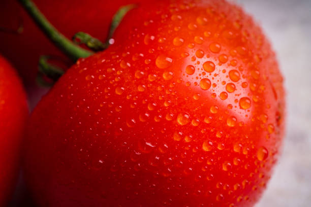 Freshly harvested tomatoes on the rustic background. Selective focus. Shallow depth of field.