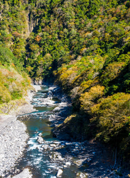 istock Valley of the river with Beautiful forest 1203297496