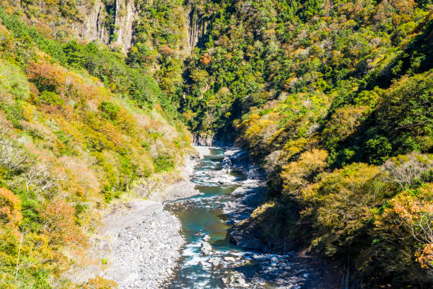 istock Valley of the river with Beautiful forest 1203297519