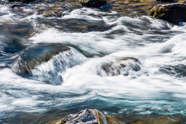 istock Creek or stream water flowing past rocks and stones 1203297693