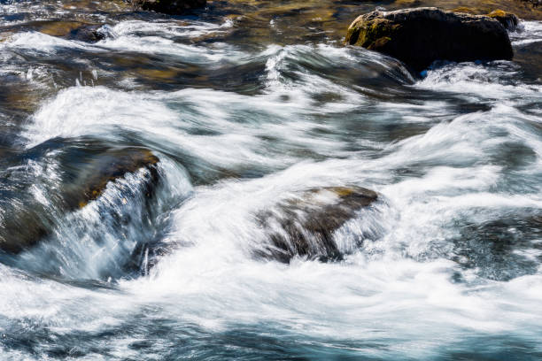 istock Creek or stream water flowing past rocks and stones 1203297960