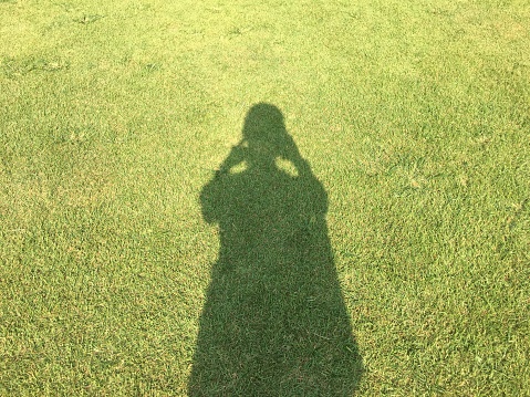Shadows and lawn during the day