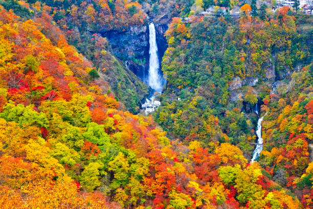 chute d'eau de kegon au parc national de nikko - nikko asia japan natural landmark photos et images de collection