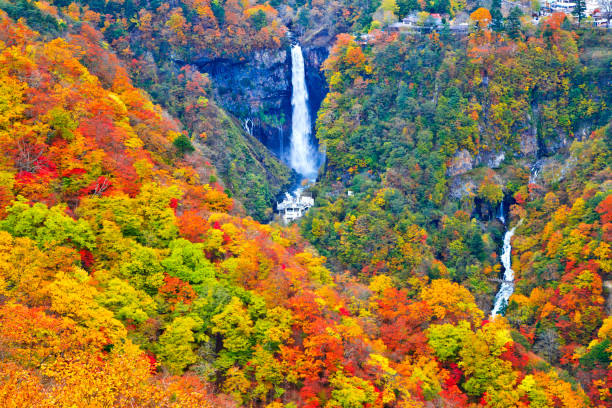 водопад кегон в национальном парке никко - nikko asia japan natural landmark стоковые фото и изображения