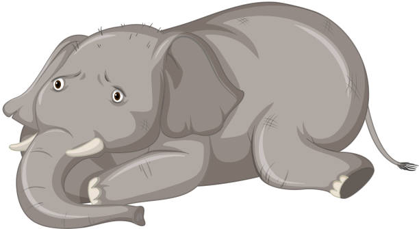 Sick elephant on white background Sick elephant on white background illustration sad-elephant stock illustrations