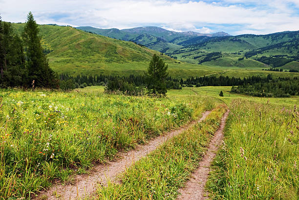 istock Country Road in mountains 120330025