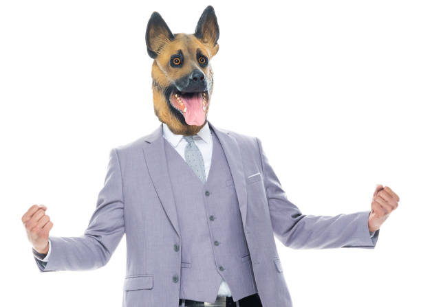 One person of aged 20-29 years old generation z male crouching wearing dog suit who is successful who is punching