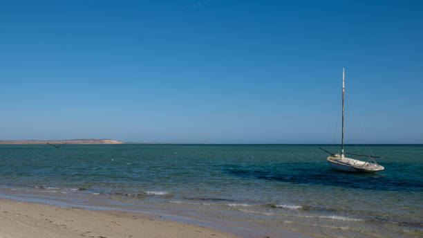 istock Anchored at Shark Bay 1203304347