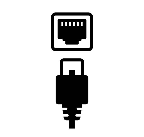ilustrações, clipart, desenhos animados e ícones de ilustração do ícone vetor do cabo lan e conector (plug) - cable audio equipment electric plug computer cable