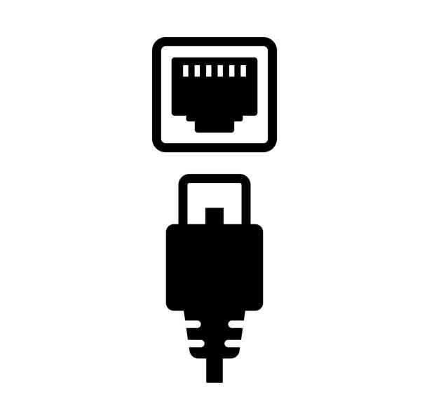 Lan cable and connector (plug) vector icon illustration