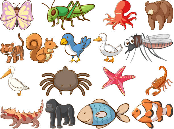 istock Large set of wildlife with many types of animals and insects 1203306529