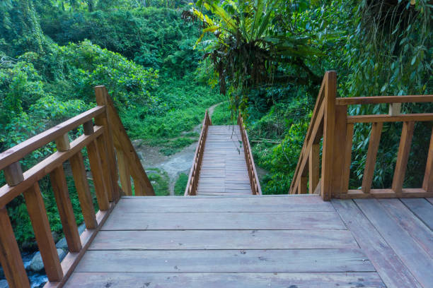 istock wood Stairs At Forest 1203306785