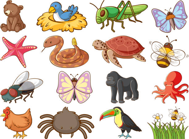 istock Large set of wildlife with many types of animals on white background 1203308647