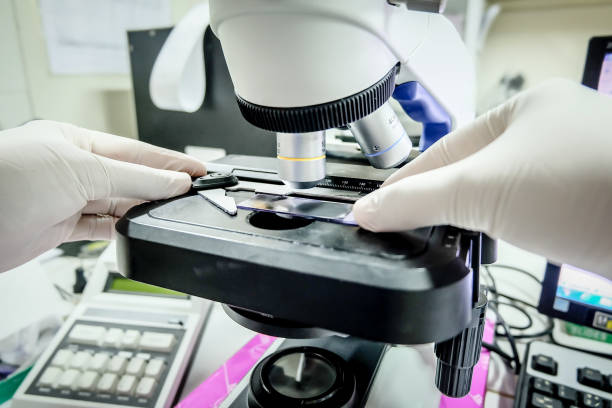 istock Microscope in laboratory for investigetion testing.White tone. 1203309159