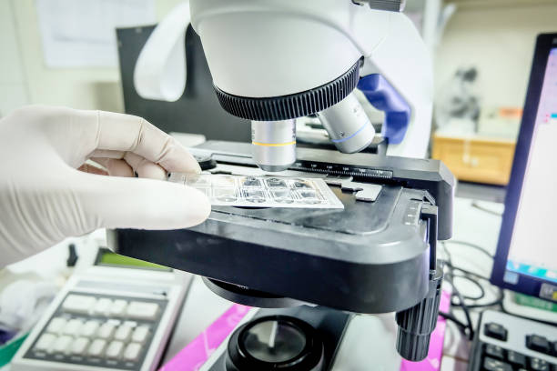 istock Microscope in laboratory for investigetion testing.White tone. 1203309172