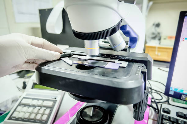 istock Microscope in laboratory for investigetion testing.White tone. 1203309176