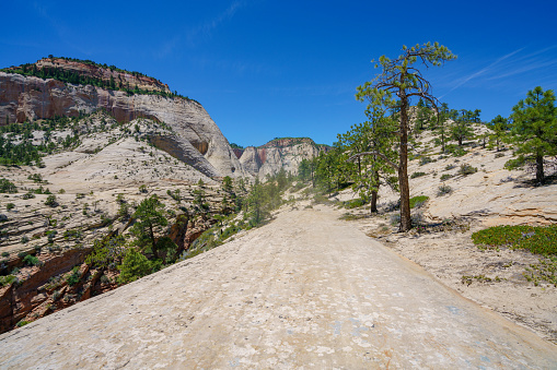 hiking the west rim trail in zion national park in the usa