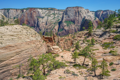 hiking the west rim trail in zion national park in the usa