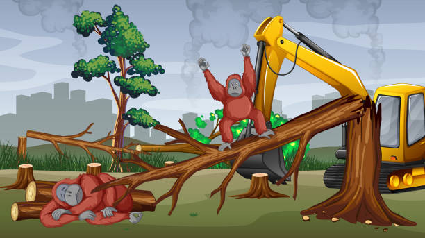 illustrations, cliparts, dessins animés et icônes de scène de déforestation avec des arbres de coupe de tracteur - deforestation