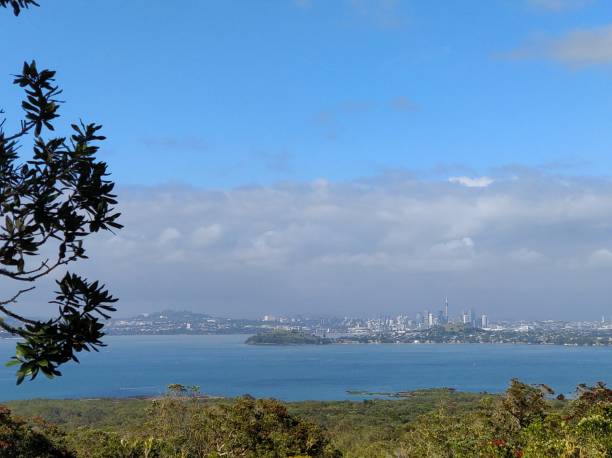 istock Rangitoto Island 1203311958