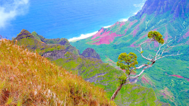 kauai, hawái, estados unidos - mahaulepu beach fotografías e imágenes de stock