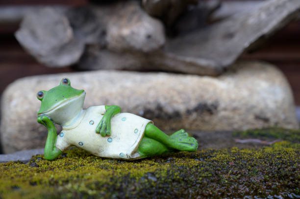 istock A frog model placed on a natural background 1203316798