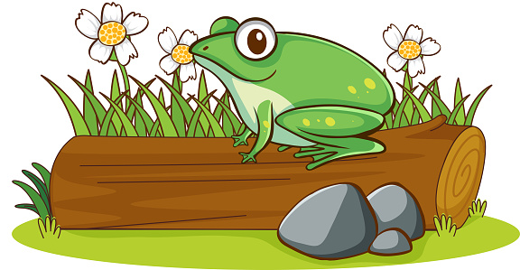 Isolated picture of frog on log illustration