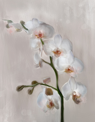 Spring and summer flowers collection – white orchid branch in digital oil painting style