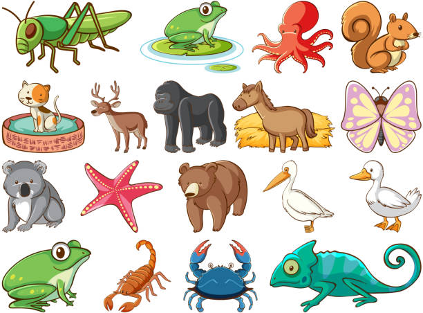 istock Large set of wildlife with many types of animals 1203320324