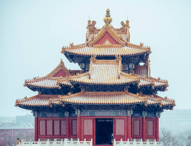 istock The Forbidden City with Snow- Beijing, China 1203323345