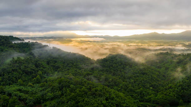 istock Landscape at sunrise with fog above mountain. 1203323911