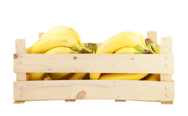 istock Wooden crate with bananas isolated on white 1203326725